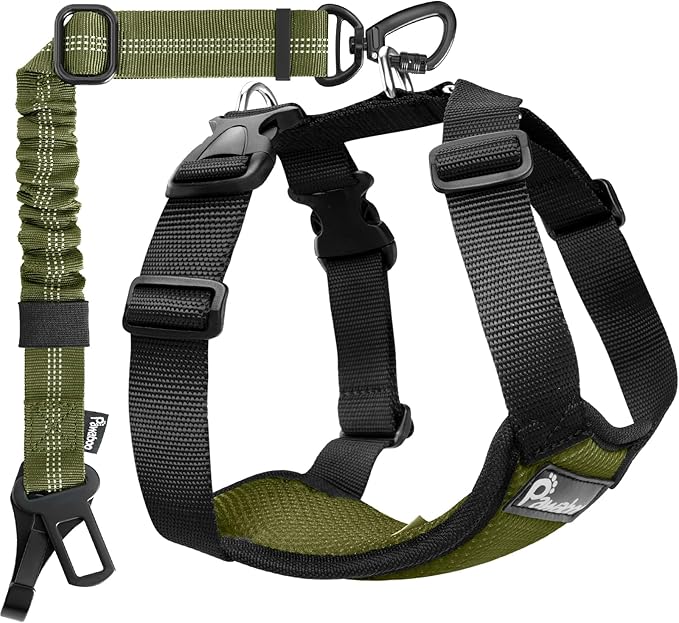 Pawaboo Dog Seat Belt Harness for Car, Dog Car Harness Seatbelt with Double Clips, Adjustable Breathable Pet Vest & Dogs Safety Tether with Elastic Bungee for Small Medium Large Pet, L, Green + Black