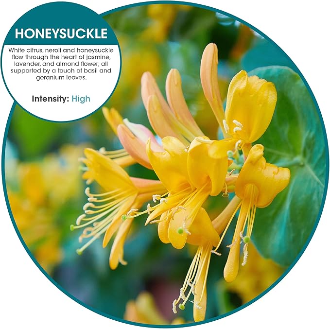 Fresh Products Eco Bowl Clip 2.0 Toilet Bowl Air Freshener, Honeysuckle Scent, 4 Clips