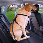 iBuddy Dog Seat Belts for Cars of Small/Medium/Large Dogs,Adjustable Pet Seat Belt for Dog Harness with Dual Safe Bolt Hook and Elastic Durable Nylon Dog Safety Belt for Car