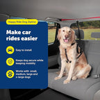 PetSafe Happy Ride Dog Zipline - Secure Backseat Mobility Dog Travel Restraint - Decreases Driver Distraction - Adjustable Strap & Quick-Release Tether Clips - Tool-Free Installation
