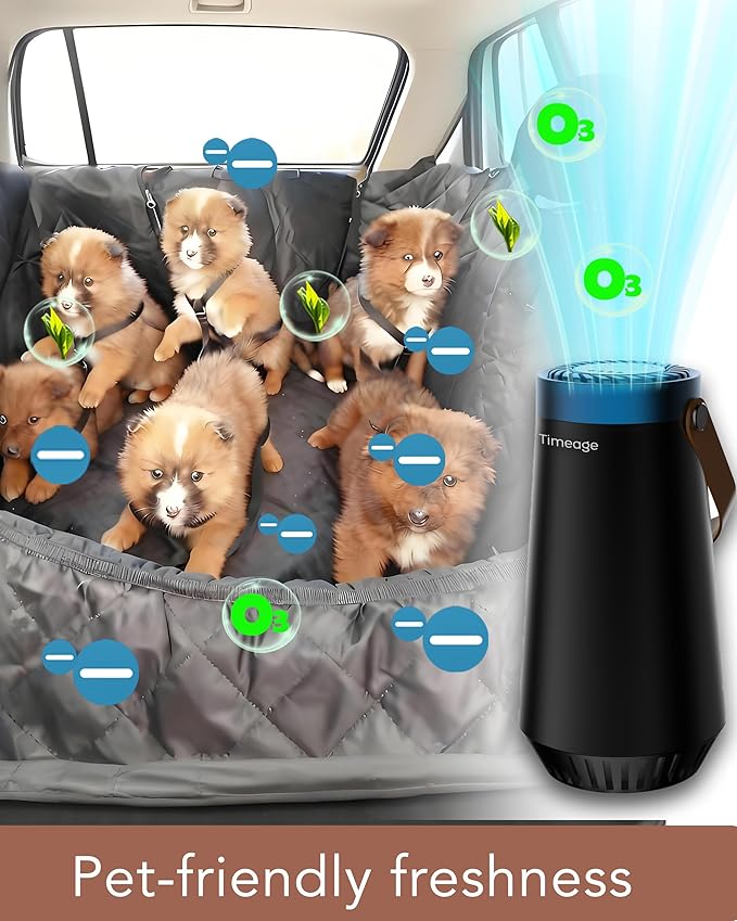 Ozone Generator for Car -Clean Smoke Odor from Car, Foul Smell from Bathroom; Plus Ionic Air Purifier for Home to Purify Dust, Pollen- Portable Deodorizer, Office, Pet Room Sky Blue