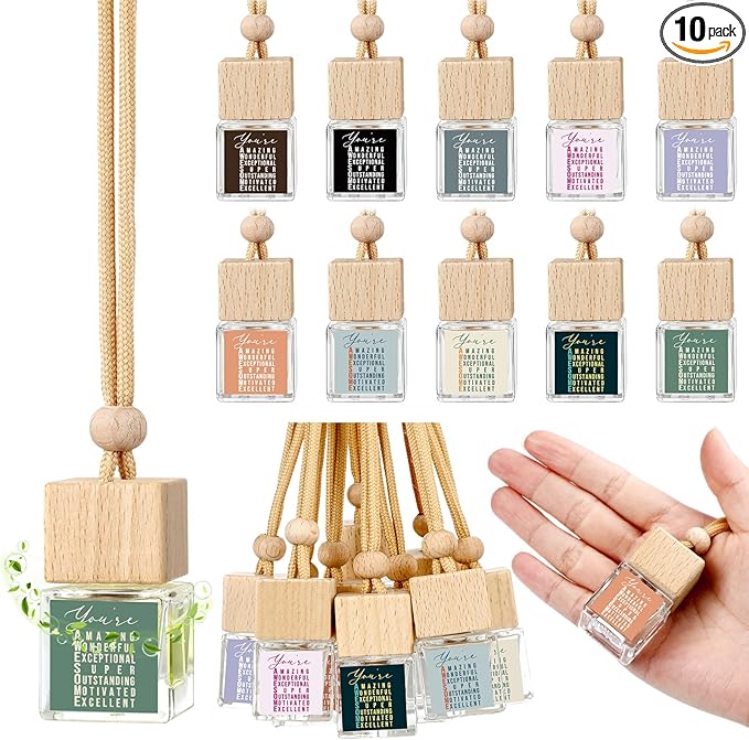 10 Pcs Employee Appreciation Gift Bulk 8ml Car Air Freshener Diffuser No Liquid Hanging Car Empty Glass Oil Diffuser Thank You Gifts for Coworker Social Worker