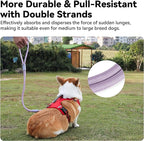 2-in-1 Dog Car Seatbelt Leash & Walking Lead - Heavy Duty 70CM Nylon Rope Leash with Secure Vehicle Buckle for Small Medium Large Dogs, for Travel, Walking, Training