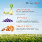 Natural Flower Power Air Freshener Spray - Odor Eliminator with Essential Oils for Home, Car & Fabric - Cruelty Free & Vegan - Variety Pack - Citrus & Spice + Lavender + Lemongrass - 3 x 4 fl oz