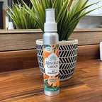 Absolute Green Air Freshener Room Spray, Non-Toxic, Cover Odors, Safe around Kids and Pets, Natural Ginger Spice Scent 4oz (Pack of 2)