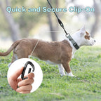 PawsPassion Rope Dog Leash 6 FT, 2-in-1 Heavy Duty Dog Leash with Seat Belt Buckle, Tangle Free 360ｰ Swivel Aviation Aluminum Carabiner, All Metal Hardware, Alloy O-Ring (Seabreeze)