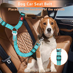 3-Piece Dog Car Harness Set - Retractable, Adjustable, Reflective Dog Seatbelt for Vehicle Headrests, Heavy Duty, High Elastics, Sky Blue