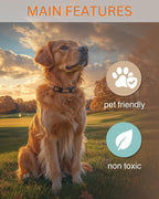 Golden Retriever - Dog Car Air Freshener - Cute Hanging Dog with Flowers Decor New Car Scent, Infusible with Your Own Scent, Pet Safe, Non-Toxic, Freshener for Car, Closet, Office Size - 3x4"