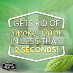 Smoke Vanish - Smoke Odor Eliminator Spray - Removes Smokey Odor Instantly with Noxban™ - Eco-Friendly - For Home, Car, Clothes & Travel - Fresh Mist Scent - 2 oz. (Pack of 2)