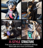Pawaboo Adjustable Dog Seat Belt for Vehicle, Breathable Dog Safety Vest Harness with Seatbelt for Small Medium Large Dogs, L, Black + Silver