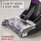Hoover SmartWash Pet Automatic Carpet Cleaner with Spot Chaser Stain Remover Wand, FH53000PC + Hoover Everyday Solution, Deep Cleaning Carpet Shampoo, 128 oz Formula, AH30932