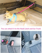 AUBELL Dog Seat Belt for Car,2 Pack Set 3-in-1 Adjustable Reflective Bungee Heavy Duty Dog Car Harness Tether with Clip Hook Latch & Buckle,Swivel Zinc Alloy Carabiner,Black+Hotpink