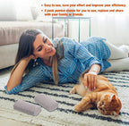 Xuniea 2 Pieces Pet Hair Remover for Cat Hair Removal Pumice Stone Tool Carpet Dog Fur Removal Tool for Car Couch Furniture Bedding Easy to Clean (4 Inches)