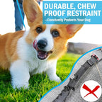 Dog Car Safety Harness,32 Inch/80 cm Double Clips Seatbelt Dog Leash，No Chew seat Belts for Dogs（2 Pack Blue）
