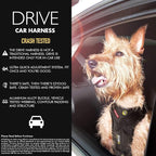 EzyDog Drive Dog Car Harness – Crash Tested and Certified (US-FMVSS 213) Dog Seat Belt Harness for Safe Travel, Adjustable with Padded Comfort (Small)