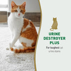 Nature's Miracle Urine Destroyer Plus for Dogs, 17.5 Ounces, Foaming Aerosol for Tough Urine Messes (Pack of 2)