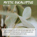 MUBYOK 1.5LB Mystic Eucalyptus Premium Scented Aroma Beads for Making Car Freshies Supplies PreScented Beads for Car Air Freshener Sachets Long-Lasing Scent