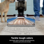 Shark EX120 CarpetXpert, Upright Carpet & Area Rug Cleaner for Pets, Deep Carpet Cleaning & Dirt & Grime Removal, Carpet Shampooer, Blue (Renewed)