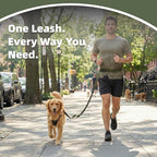 6-in-1 Hands-Free Dog Leash, Waist & Crossbody Bungee Lead with Dual Padded Handles, Bungee Shock Absorbing, Seat Belt Buckle, Reflective for Small Medium Large Dogs, Green