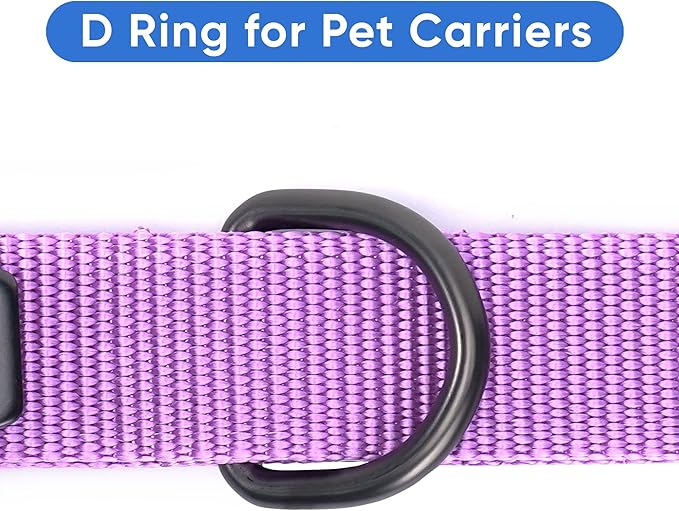 Pawtitas Dog Seat Belt | Pet Safety Seat Belt with Adjustable Strap for Small to Large Dogs | Exceeds Dog Safety Standards | Keep Your Dog Secure in The Car - Purple Orchid Car Seat Belt for Dogs