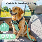 Pawaboo Dog Seat Belt Harness for Car, Dog Car Harness Seatbelt with Double Clips, Adjustable Breathable Pet Vest & Dogs Safety Tether with Elastic Bungee for Small Medium Large Pet, M, Blue + Black