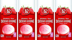 (K16012-4) K29 'Strawberry' Stone Air Freshener, (Pack of 4)