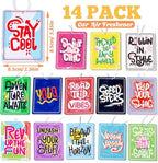 14 Pack Car Freshies Trendy Automotive Air Fresheners Hanging Ocean Car Smell Interior Decor