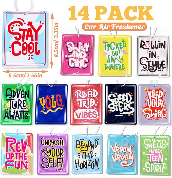 14 Pack Car Freshies Trendy Automotive Air Fresheners Hanging Ocean Car Smell Interior Decor
