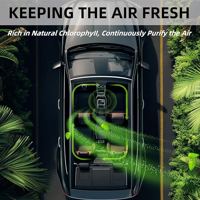 Car Air Freshener Refill, Smart Car Air Freshener Refill, Car Diffuser Refill, Aromatizante Para Carro Refill, 3 pcs Long Lasting Aroma Replacement for Car Diffuser(Cologne)