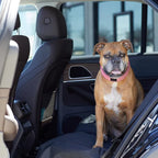 Amazon Basics Waterproof Dog Car Seat Cover, Scratch Proof Protector for Pet, Car Back Bench, 56 x 47 inch, Black