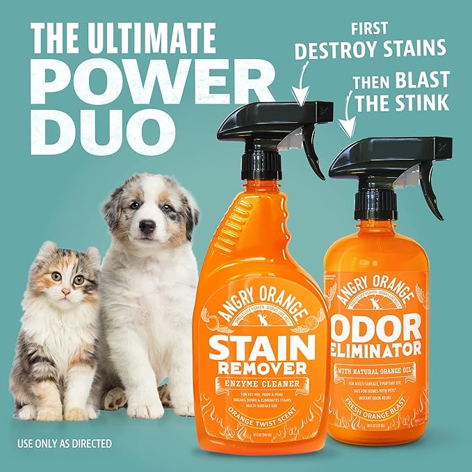 ANGRY ORANGE Pet Stain & Odor Remover for Dog Urine and Stains - Enzyme Pet Odor Eliminator for Home - Citrus - Value 2 pack