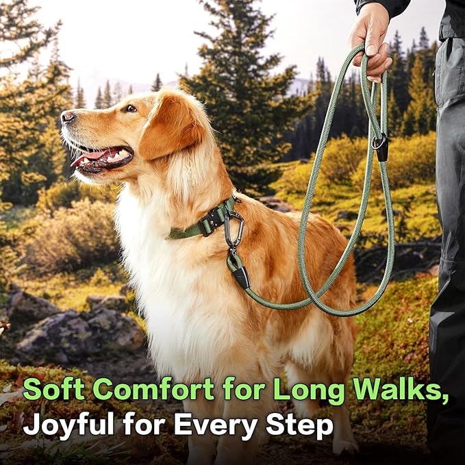 PawsPassion Rope Dog Leash 6 FT, 2-in-1 Heavy Duty Dog Leash with Seat Belt Buckle, Tangle Free 360ｰ Swivel Aviation Aluminum Carabiner, All Metal Hardware, Alloy O-Ring (Evergreen)