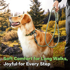 PawsPassion Rope Dog Leash 6 FT, 2-in-1 Heavy Duty Dog Leash with Seat Belt Buckle, Tangle Free 360ｰ Swivel Aviation Aluminum Carabiner, All Metal Hardware, Alloy O-Ring (Evergreen)