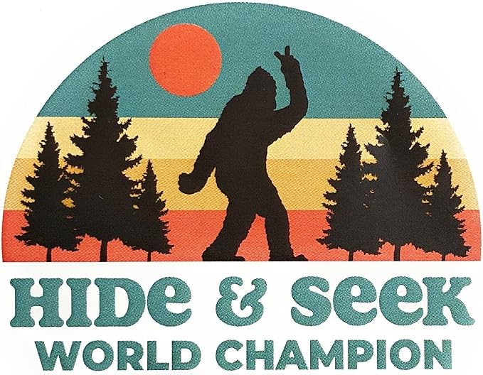 Hide & Seek Air Freshener Car Scent By Scent South