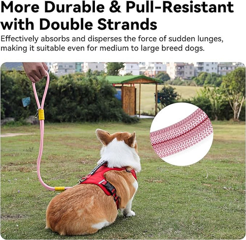 2-in-1 Dog Car Seatbelt Leash & Walking Lead - Heavy Duty 70CM Nylon Rope Leash with Secure Vehicle Buckle for Small Medium Large Dogs, for Travel, Walking, Training