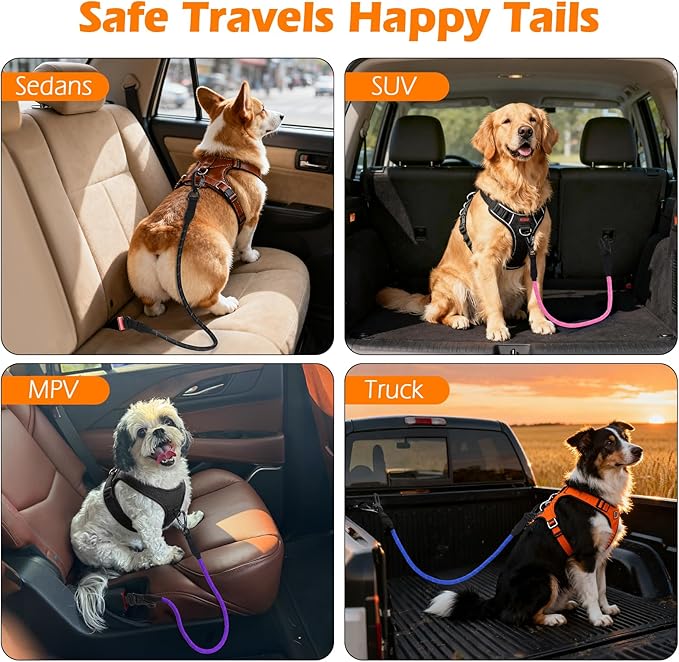 PetBonus Dog Seat Belt for Car, Durable Rope Dog Car Harness Seatbelt for Vehicle, Pet Tether Safety Restraint with Heavy Duty Buckle Hook Latch Lockable Clip for Small Medium Large Breeds (Orange)