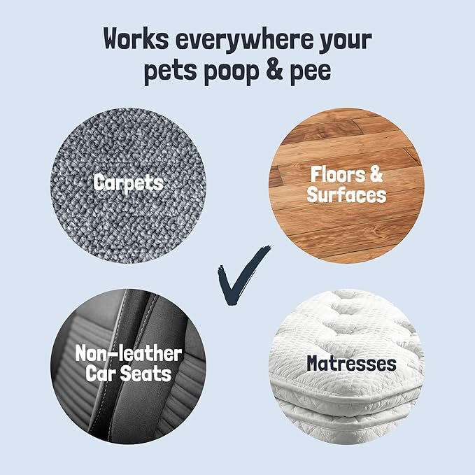 Sunny & Honey Pet Stain and Odor Remover - Enzyme Cleaner for Dog Urine and Poop on Carpets and Furniture - Strong Pet Carpet Cleaner Spray (1 Gallon Fall Spice)