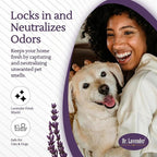 Pet Odor Eliminator Spray – Enzymatic Cleaner for Dog & Cat Urine, Strong Odor Eliminator for Home, Carpet & Furniture – Pet Stain Remover, Cat Pee Eliminator, Odor Neutralizer