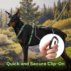 PawsPassion Rope Dog Leash 6 FT, 2-in-1 Heavy Duty Dog Leash with Seat Belt Buckle, Tangle Free 360ｰ Swivel Aviation Aluminum Carabiner, All Metal Hardware, Alloy O-Ring (Evergreen)