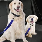 SunGrow Dog Seat Belt for Car, Adjustable Nylon Pet Seatbelt, Supports All Cars, Dog Car Leash Seat Belt, Seatbelt for Dogs, Cats & Ferrets Travel Harness