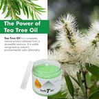 Tea Tree Oil Air Freshener Gel – Natural Odor Eliminator for Car, Home & Bathroom – Removes Smoke, Pet & Musty Odors – Long Lasting Deodorizer (400g / 14 oz Jar)