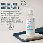 Natural Odor and Stain Remover Spray - Unscented Plant-Based Child & Pet Safe Cleaner Earth-Friendly Odor Eliminator Eco Cleaning Products for Home, Carpet (1 Pack, 1 Gallon)