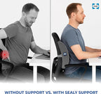 Sealy Ergonomic Lumbar Support Pillow for Office Chair and Car Seat - Memory Foam Back Support Lumbar Pillow, Premium Cushion Chair Support for Lower Back Pain Relief and Versatile Use (Gray)
