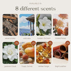 Car Air Freshener Wood 3 Pack — Refillable Solid Diffuser, North American Alder Scent, Leather Visor Clips — No Liquid Odor Eliminator for Cars, Trucks, SUVs