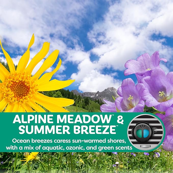 Refresh Your Car Mini Diffuser Car Air Fresheners, Alpine Meadows / Summer Breeze Scent, 2 Pack