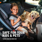 Pet Odor Eliminator, Enzyme-based Stain & Odor Remover Spray for Pet Urine and Smells in Cars, Grapefruit Scent, 16oz