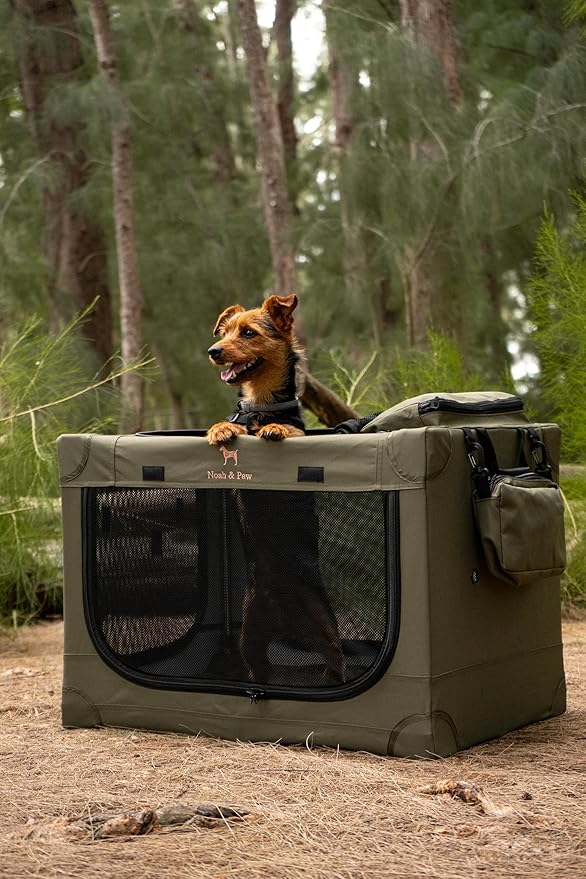 Noah & Paw Collapsible Dog Crate 30 Inches, Large Dog Crate for Large Medium Breeds, Travel Kennel for Car, Including Pet Mat for Pet Cage, 2 Storage Pockets, Handbag, 10mm Locking Zipper 30*21*21