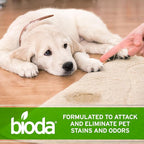 Bioda Commercial Strength Enzymatic Stain & Odor Eliminator for Pets | Industrial-Grade Formula Removes Dog and Cat Urine | USA Made Carpet Spot Cleaner | 32oz Sprayer