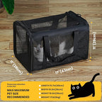 Cat Carrier Bag,Soft-Sided Pet Carriers for Dogs with 4-Sided Mesh,Airline Approved Cat Transport Carrier for Small&Medium Cats Kitten Puppy Up to 15Lb,Collapsible Cat Travel Carrier-M,Black