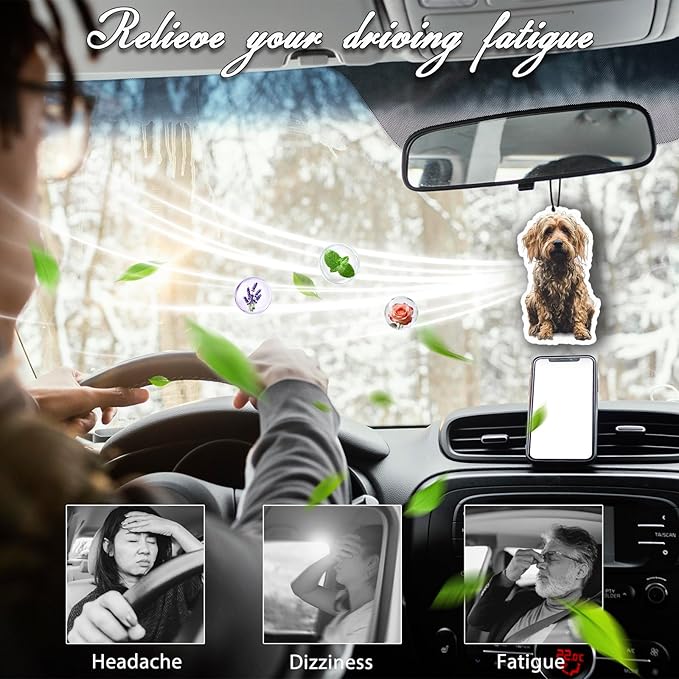 6pcs Custom Air Fresheners with Picture, Custom Air Fresheners, Personalized Double Sided Photo Air Freshener, Personalized Air Freshener for Car Wardrobe Bathroom Hanging Ornaments